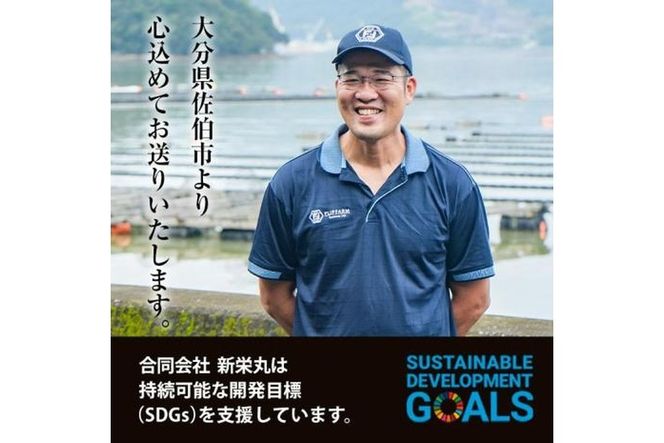 真ガキ 大入島オイスター (約1.3kg) 牡蠣 カキ 貝 海鮮 魚介類 冷蔵 生食可 シングルシード 養殖 大分県 佐伯市【ED08】【(合)新栄丸】