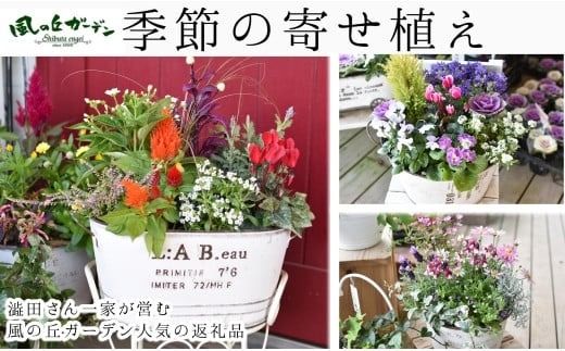 y{茧юszy10甭EyK[fjOzG߂̊񂹐Ai̋uK[fj Mtg񂹐A p񂹐A ̓ a LO