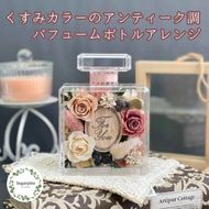 プリザーブドフラワー　エミュ　春日部市　シュガーパイン(AJ252)