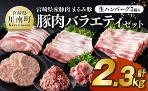 豚肉 宮崎県産豚肉 「まるみ豚」総重量2.3kg豚肉バラエティセット　生ハンバーグ5個入り 【 肉 豚肉 国産 ハンバーグ 小分け 弁当 おかず お手軽 真空パック バラ モモ ロース こま切れ スライス ミンチ 挽肉 九州産 宮崎県産 川南町産 送料無料 】[B11501]