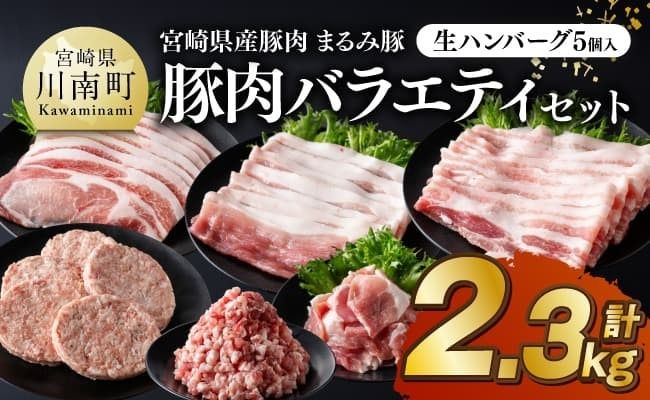 豚肉 宮崎県産豚肉 「まるみ豚」総重量2.3kg豚肉バラエティセット　生ハンバーグ5個入り 【 肉 豚肉 国産 ハンバーグ 小分け 弁当 おかず お手軽 真空パック バラ モモ ロース こま切れ スライス ミンチ 挽肉 九州産 宮崎県産 川南町産 送料無料 】[B11501]