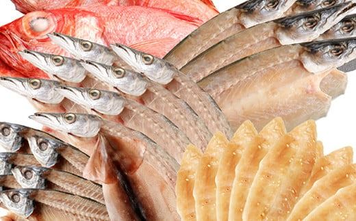 いずま海産定期便[年4回お届け] 頒布会