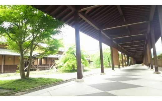 文化の里　古田紹欽記念館　呈茶回数券 ｜ チケット お抹茶 古田紹欽記念館 送料無料 岐阜県