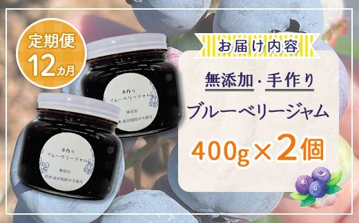 【定期便12カ月】北海道 豊浦町産 無添加手作り ブルーベリージャム400g×2個 TYUS002