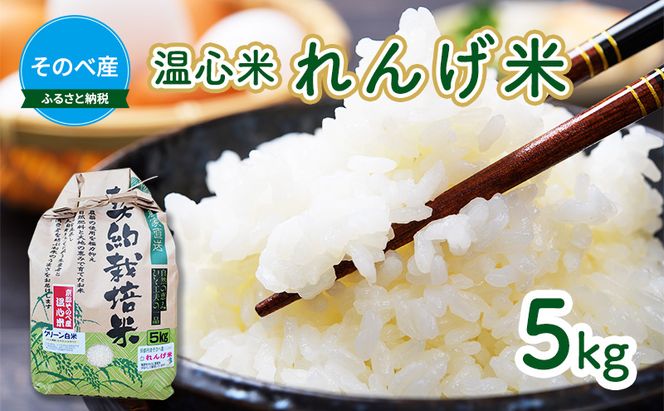 米 コシヒカリ れんげ米 5kg ×1袋 そのべ産 温心米 2025年度産 お米 単一原料米 こしひかり 丹波 精米 白米 こめ コメ 京都 