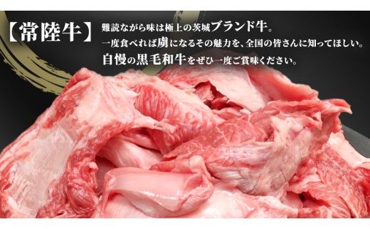 【常陸牛100%】ご自宅用 牛すじ 1kg (500g×2) ( 茨城県共通返礼品 ) 茨城県産 牛すじ 牛スジ 肉 牛肉 常陸牛 黒毛和牛 とろとろ コラーゲン 時短 煮込み カレー おでん スープ 小分け 自宅用