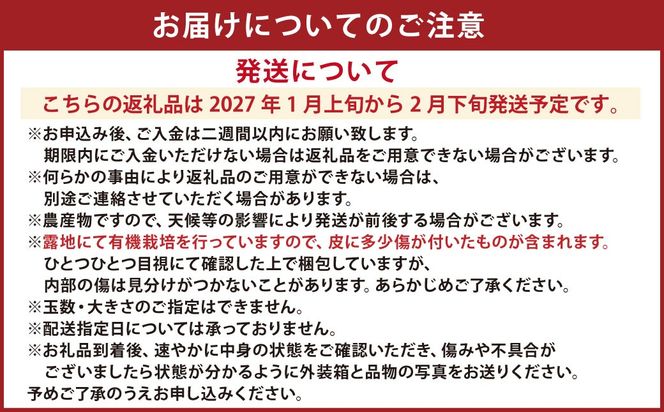 【先行受付】特別栽培ポンカン 10kg サイズミックス 柑橘 ポンカン ぽんかん フルーツ 果物 果実 九州産 熊本県 上天草市【2027年1月上旬から2月下旬発送予定】