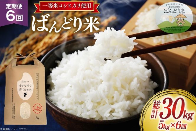 【6ヶ月定期便】【一等米100％】米 令和7年産 ばんどり米（コシヒカリ）精米 5kg 計30kg [農事組合法人東和 富山県 舟橋村 57050215] お米 白米 美味しい こしひかり 富山 農家 令和7年産