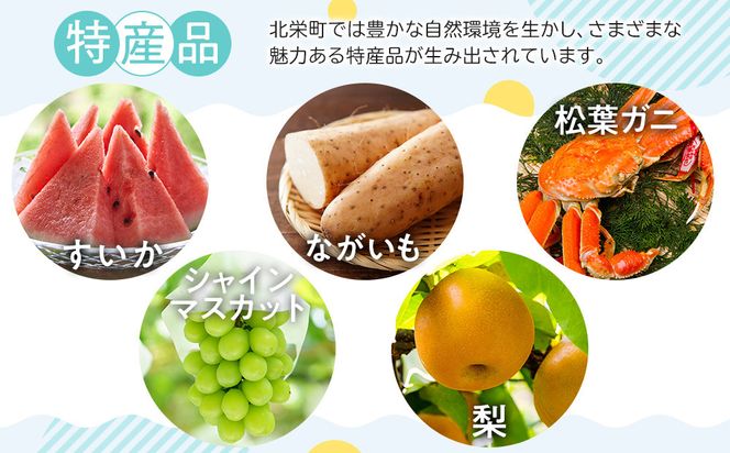 1114.砂丘ながいも3kg 313726_CL003