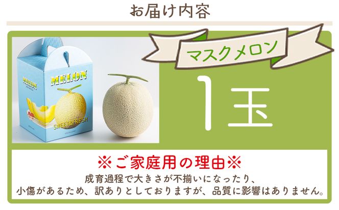 メロン 柑橘 2種セット マスクメロン yr-0111