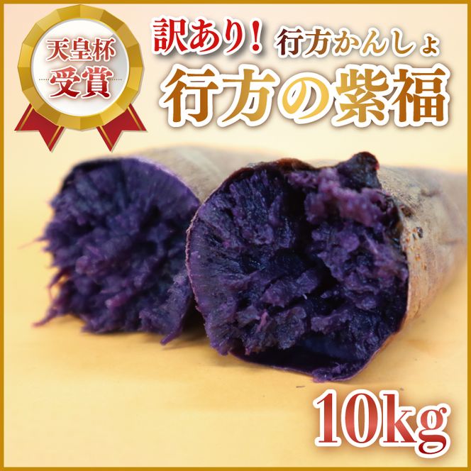 【2026年12月より順次発送】【訳あり】行方かんしょ「行方の紫福」さつまいも約10kg（洗い・不揃い・C品）｜さつまいも サツマイモ さつま芋 お芋 行方の紫福 訳あり わけあり 訳アリ 行方かんしょ 茨城県 行方市(AE-113)