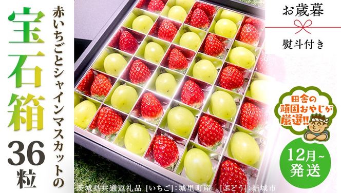 【 お歳暮 熨斗付 】赤いちごとシャインマスカットの宝石箱 36粒【2026年12月から発送開始】（茨城県共通返礼品 [いちご]：城里町産　[ぶどう]：結城市） いちご 苺 イチゴ 白いちご 白イチゴ シャインマスカット マスカット 宝石箱