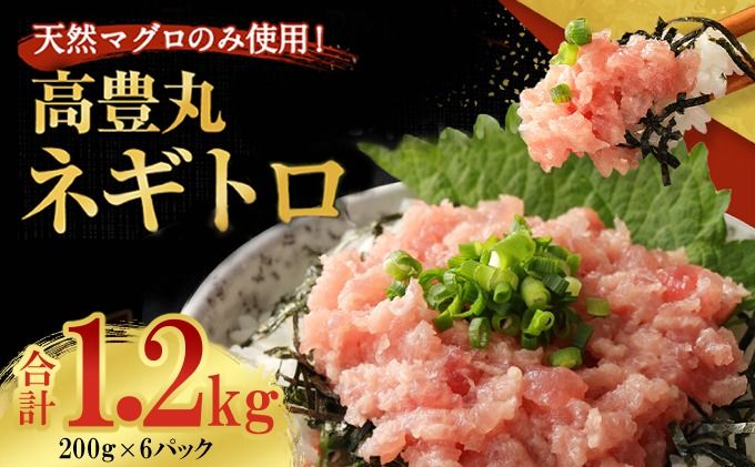 まぐろ ランキング1位! ネギトロ (まぐろたたき) 1.2kg (200g×6パック) 訳あり ねぎとろ まぐろ マグロ まぐろたたき ねぎとろ丼 高品質 魚 高豊丸 高品質 まぐろのたたき 小分け 魚 魚介 鮪 寿司 すし 海鮮 おかず 海鮮丼 手巻き寿司 冷凍 10000円 故郷納税 送料無料 室戸 ngt tk003!