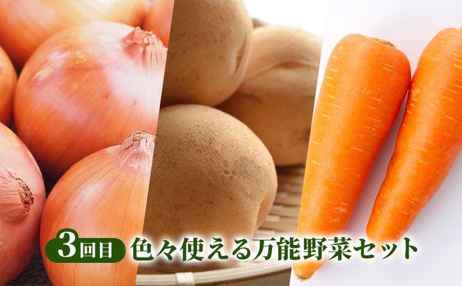 2026年発送 南富良野から贈る 人気野菜 3回お届け定期便 北海道 ふらの 南富良野 メロン とうもろこし じゃがいも 人参 玉ねぎ