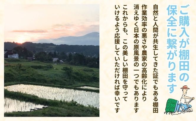 【先行予約】《令和8年産 新米》＼2026年10月より6回／こしひかり 5kg 玄米  特別栽培米 『奥信濃の棚田米 実の里』定期便 5kg×6回 （Ck-011）