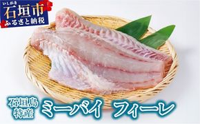 石垣島特産ミーバイ（ヤイトハタ）フィーレ KS-14