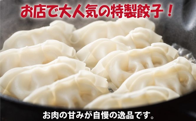 099Z556 【泉佐野ブランド豚】犬鳴豚餃子 100個×3回【国産 豚肉 ぶたにく 定期便 犬鳴ポーク 焼くだけ 人気 総菜 冷凍】