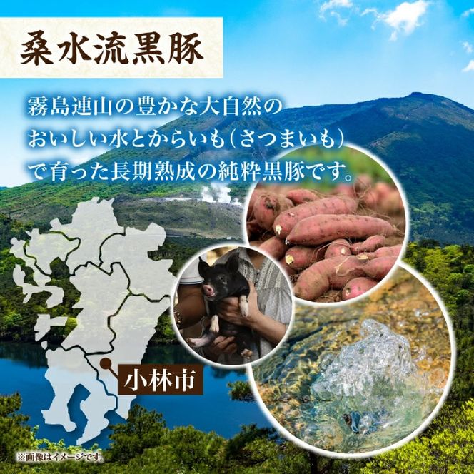 【牧場直送の新鮮黒豚】桑水流黒豚からいもどん特選セット（豚肉 黒豚 豚 肉 お肉 詰め合わせ 豚バラ）