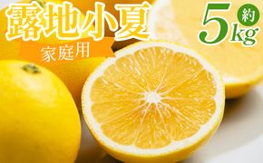 露地 小夏 5kg 家庭用 混合（M〜Lサイズ） フルーツ 果物 くだもの こなつ 5きろ ５キロ わけあり 訳あり 美味しい 高知県 香南市 nm-0005