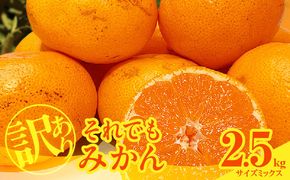 MK1048_2月28日終了！ 最短出荷すぐ届く！訳あり それでも みかん 箱込 2.5kg ( 内容量 2.3kg ) サイズミックス Ｂ品 有田みかん 和歌山県産 産地直送 家庭用【みかんの会】