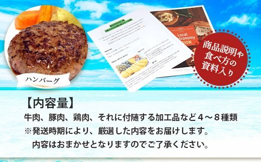 【先行予約】【新感覚】石垣島の「お肉」詰め合わせ～タカラモノお肉便 SH-6【沖縄 石垣 石垣島 八重山諸島 お肉 南国 詰め合わせ】