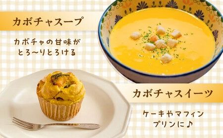 カボチャ 500g 冷凍 カット済み 旬の時期に急速冷凍 【福岡県糸島産】 糸島市 / オーガニックナガミツファーム 野菜 南瓜 かぼちゃ 	[AGE041]