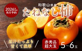 柿 種無し 赤秀品 超大玉 1.8kg 5～6個 ［先行予約］［2026年9月末頃から発送］［KG4］ 303446_XM90004