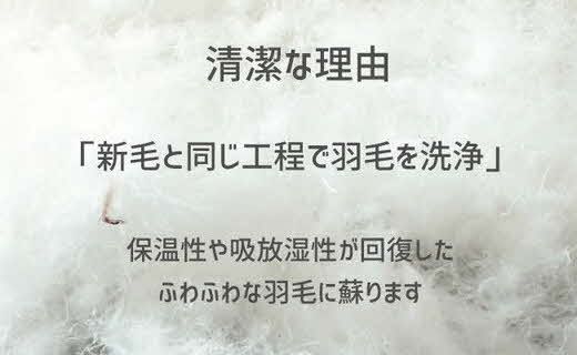 【4.1-2】ザ・羽毛布団 リサイクルダウン シングル 150×210cm　リサイクルホワイトダックダウン70％ 羽毛 掛け布団 立体キルト【251-000360-20】