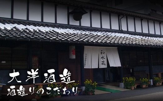 大洋盛セット186（一升瓶飲み比べ6本セット）日本酒  1.8L 地酒 大容量 大洋酒造 新潟県 1009008