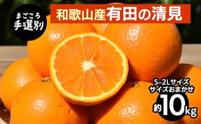 【まごころ手選別】和歌山産　有田の清見　10kg(S～2Lサイズ)サイズおまかせ