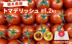  フルーツ トマト ［2026年先行予約］ トマデリッシュ 約1.2kg 橋本農園 岡山 野菜 高糖度 旨味 弾力 果実 甘い サラダ そのまま 岡山県産 緑黄色野菜 