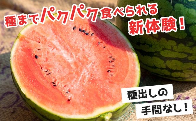 ＜先行予約＞北海道伊達産 小玉スイカ "ピノ・ガール" 【tom-001】