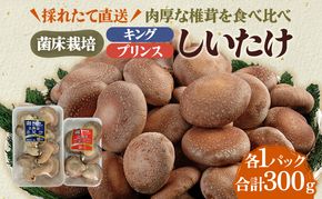 北海道産 厚岸町 上尾幌 菌床栽培 キングしいたけ プリンスしいたけ 各1パック 
