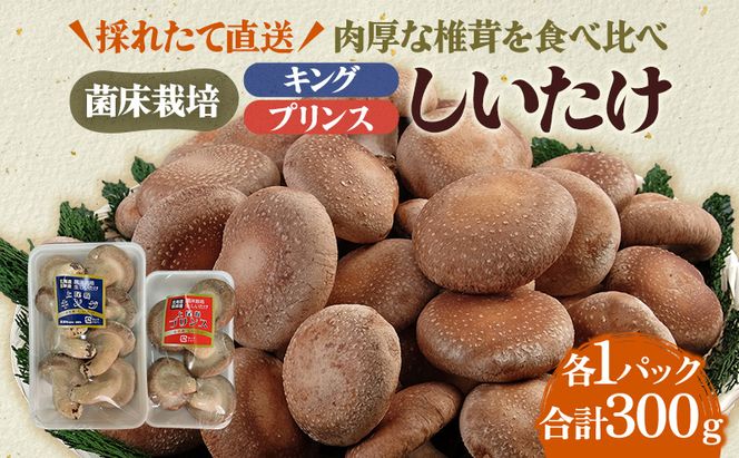 北海道産 厚岸町 上尾幌 菌床栽培 キングしいたけ プリンスしいたけ 各1パック 