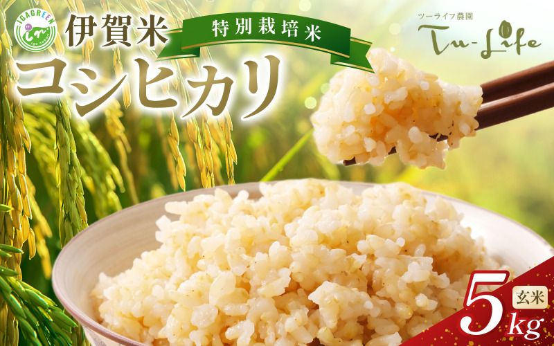 特別栽培米・伊賀米コシヒカリ 5kg[玄米][tuli0005A]