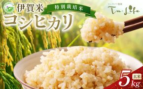 特別栽培米・伊賀米コシヒカリ 5kg〈玄米〉【tuli0005A】