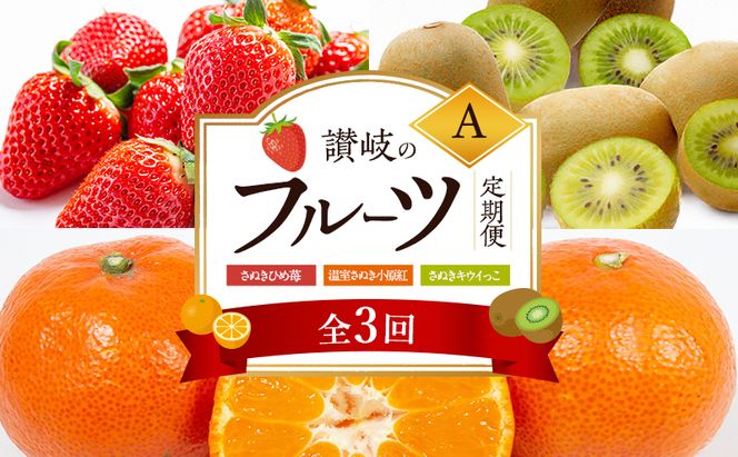 讃岐のフルーツ3回定期便【A】【さぬきひめ苺】【温室さぬき小原紅(紅みかん) 】【さぬきキウイっこ】