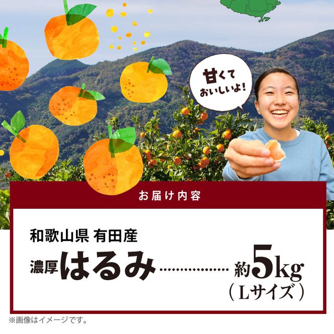 和歌山有田の濃厚 はるみ 5kg (Lサイズ)【ハルミ 春見 ミカン 蜜柑 柑橘 和歌山 有田】_AB6047n