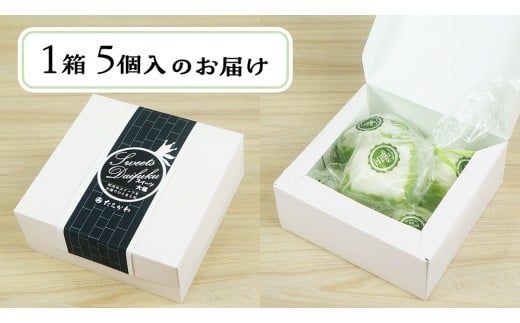 【 菓子庵たちかわ 】 抹茶 モンブラン 大福 5個 ( 5個入 × 1箱 ) 手作り もちもち スイーツ お茶 茶 栗 くり もち フルーツ 果物 和菓子 菓子 お菓子 餡子 あんこ [AY013ci]