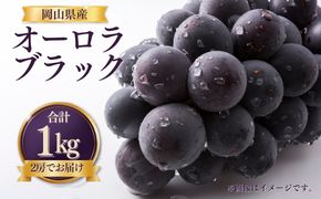 【先行受付】 岡山県産 オーロラブラック 1kg（2房） | オーロラブラック ぶどう 葡萄 岡山県産 国産フルーツ 果物 大粒ぶどう 種なし 甘い ジューシー 旬の果物 フルーツ お取り寄せ 産地直送 人気 数量限定 先行予約 果実