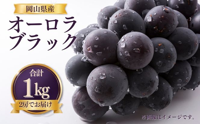 【先行受付】 岡山県産 オーロラブラック 1kg（2房） | オーロラブラック ぶどう 葡萄 岡山県産 国産フルーツ 果物 大粒ぶどう 種なし 甘い ジューシー 旬の果物 フルーツ お取り寄せ 産地直送 人気 数量限定 先行予約 果実