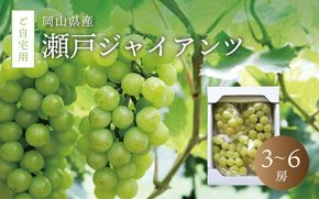 真庭市産 瀬戸ジャイアンツ 自宅用3～6房 / (2026年9月中旬以降発送予定) ぶどう 岡山 真庭 葡萄 果物 フルーツ ブドウ 人気 数量限定 ご家庭用 皮ごと 種なし 産地直送 お買い得 新鮮 桃太郎ぶどう 大粒 新食感 人気上昇中 【配送不可地域：北海道／沖縄県／離島】 【jujy010-02】