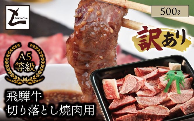 AB-97 【訳あり】A5 飛騨牛 切り落とし 焼肉用 500g