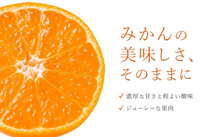 和歌山有田みかん10kg【訳ありご家庭用】2S〜2Lサイズ混合【11月下旬～12月下旬に順次発送予定】【uot871】