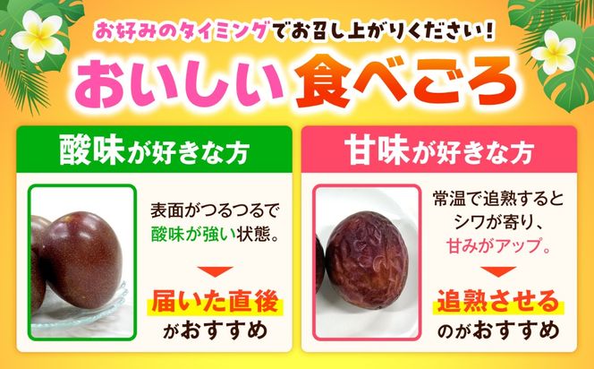 【2027年発送】【先行予約】 沖縄県産パッションフルーツ (1kg箱入り)／南国フルーツ 国産 果物 ギフト 産地直送 お取り寄せ 沖縄産 沖縄市 / ちゃんぷる～市場 [BCAA009]
