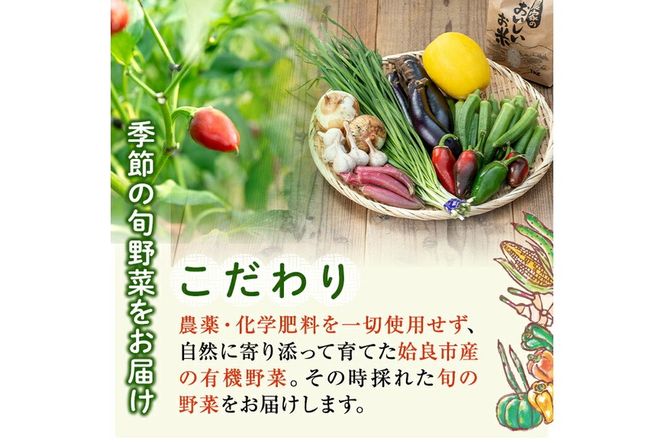 a967 姶良産 有機野菜の詰合せセット(10種前後)【今村農園】姶良市 国産 鹿児島県 野菜 やさい 旬 有機栽培 詰め合わせ 春 夏 秋 冬 季節