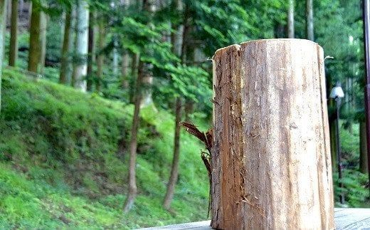 【1-251】お洒落な焚火　スウェーデントーチ（大） アウトドア　キャンプ