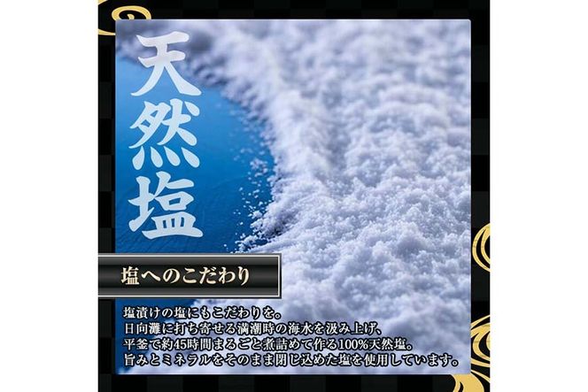 宮崎県産 手作り本からすみパウダー 計120g(40g×3袋) カラスミ 魚卵 珍味 つまみ 唐墨 珍味 酒の肴 ボラ ぼら トッピング 宮崎県 門川町 【AW-113】【丸正水産】