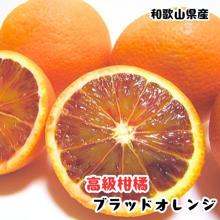 [高級柑橘]和歌山県産ブラッドオレンジ タロッコ 約2kg[MS93] 303446_XD90244