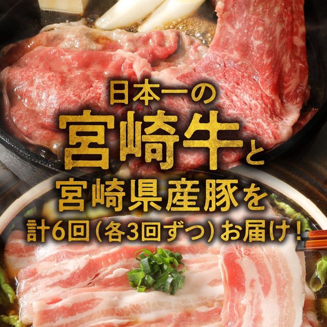【6ヶ月定期便】宮崎牛と宮崎県産豚 N0147-YF098